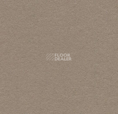 Линолеум Forbo Bulletin Board 2208 mushroom medley фото 1 | FLOORDEALER